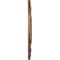 Ekena Millwork Spring Leaf Medallion (Canopies up to 5 5/8"), 19 7/8"OD x 3 5/8"ID x 1 1/4"P, Polished Copper CM19SPPOS - alternate 3